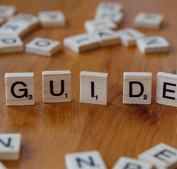 a beginner friendly guide to rasnkada beginner friendly rasnkada guide